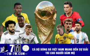 Cá độ bóng đá Việt Nam mang đến sự giải trí cho người hâm mộ