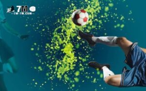 Giới Thiệu Về Kèo Cơ Hội Kép